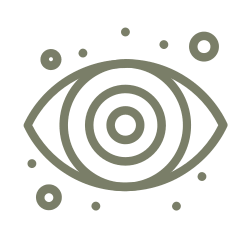 ícone-visao-sem-fundo-png